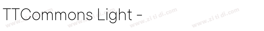 TTCommons Light 亮体字体转换